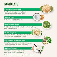 WHOLE Plant Based Nutritional Shake - 1KG / 25 SERVINGS